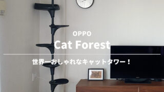 【OPPO】Cat Forest（キャットフォレスト）キャットタワー　ブリティッシュ　©こんどす